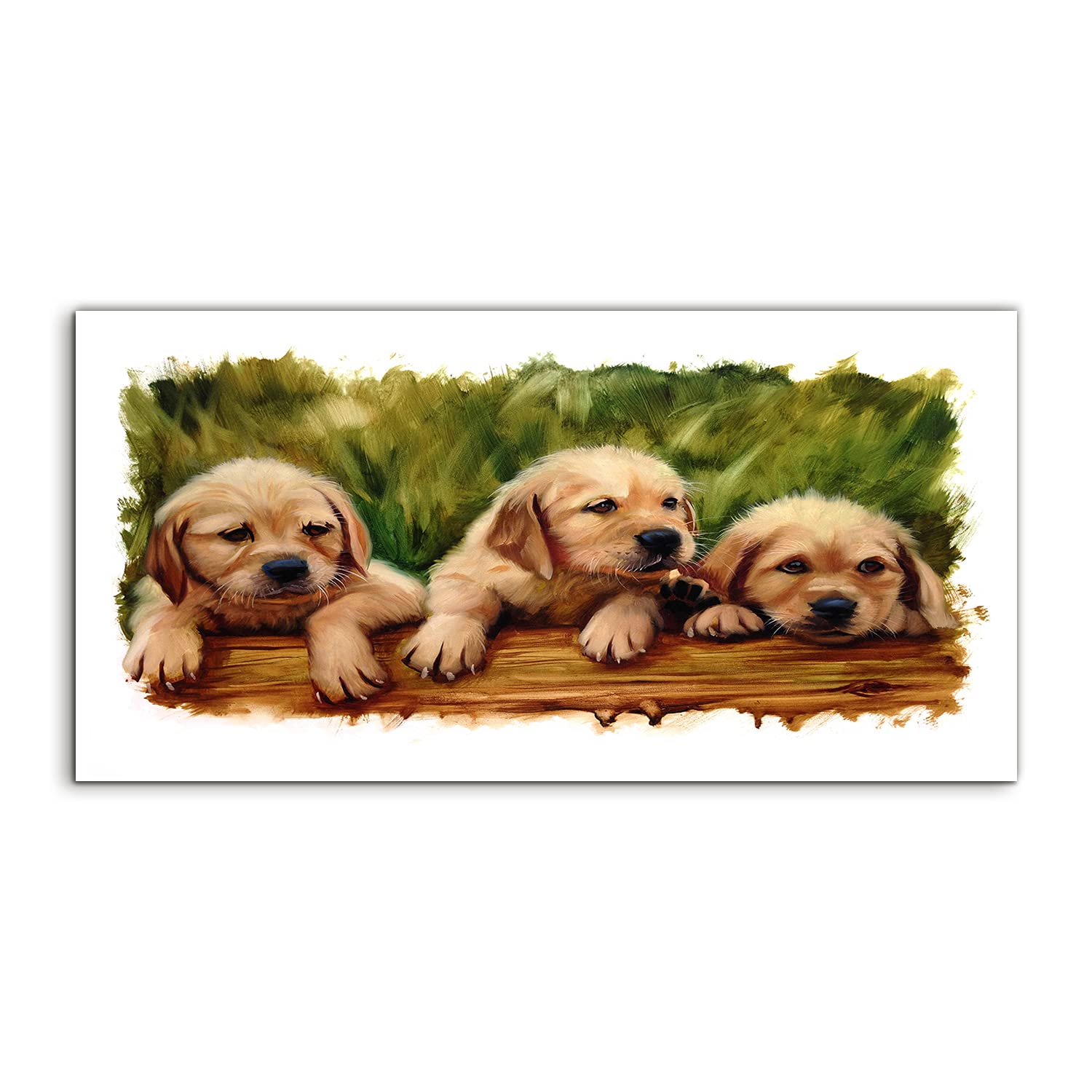 Tableau acrylique 120x60cm chiens dans l'herbe décoration murale Coloray - 8