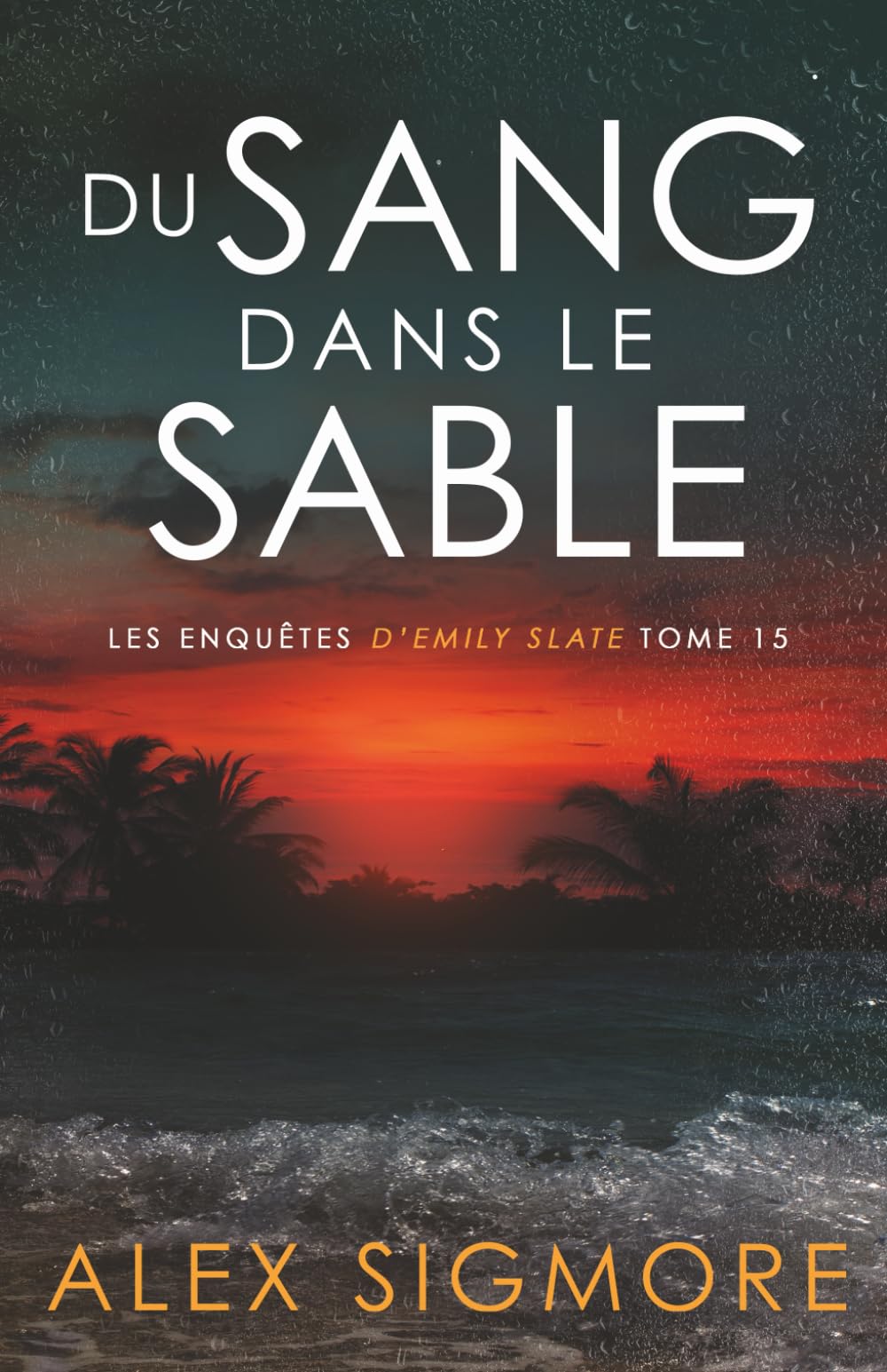 Du Sang Dans le Sable (Les Enquêtes d'Emily Slate)
