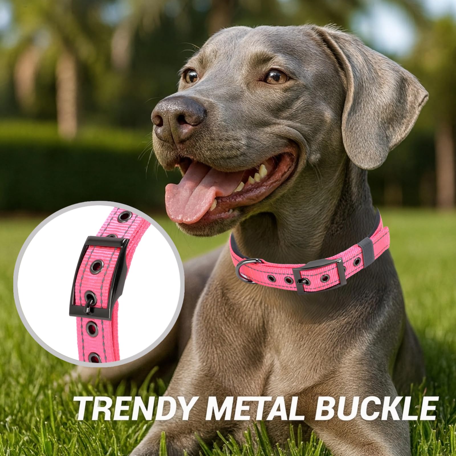 View 7