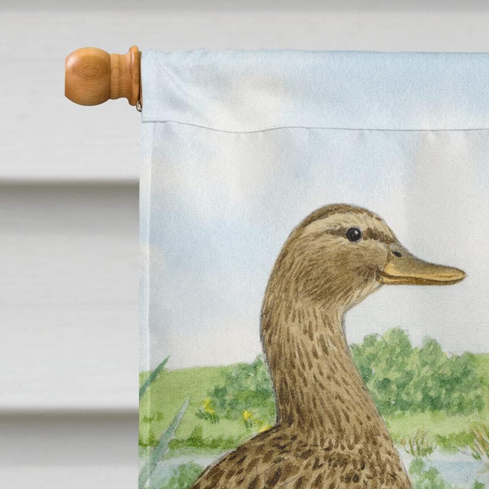 Caroline's Treasures ASA2105CHF Female Mallard Duck & Ducklings House Flag Large Porch Sleeve Pole Decorative Outside Yard Banner Artwork Wall Hanging, Polyester, House Size, Multicolor