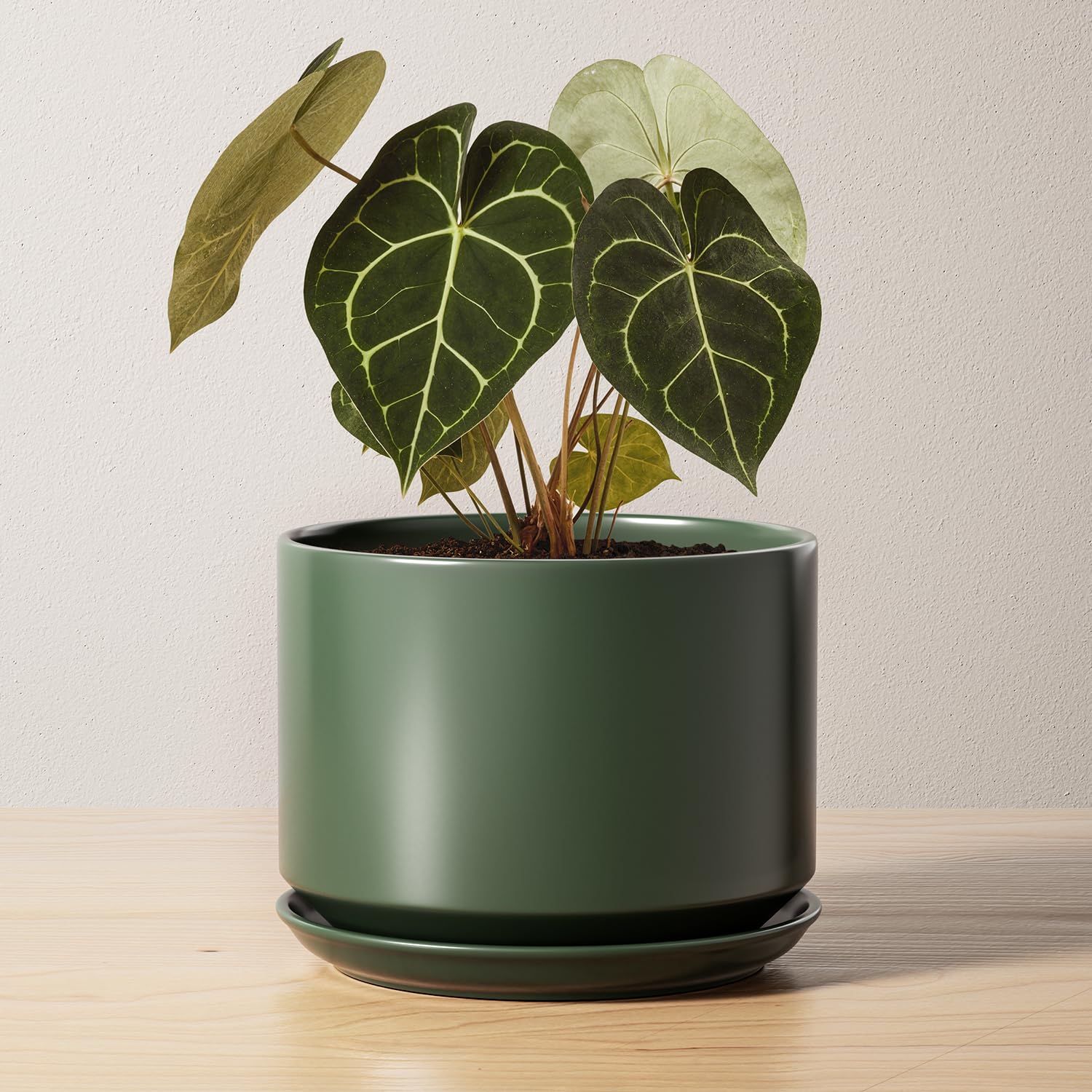 LE TAUCI Ceramic 6.8' Plant Pot