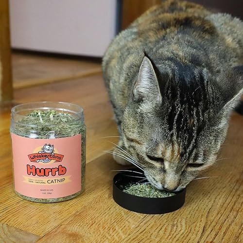 Miniatura 2 de Whiskertons Hurrb Hierba gatera para gatos y gatitos, 100% naturales y seguras golosinas de hierba gatera utilizada para juguetes y accesorios
