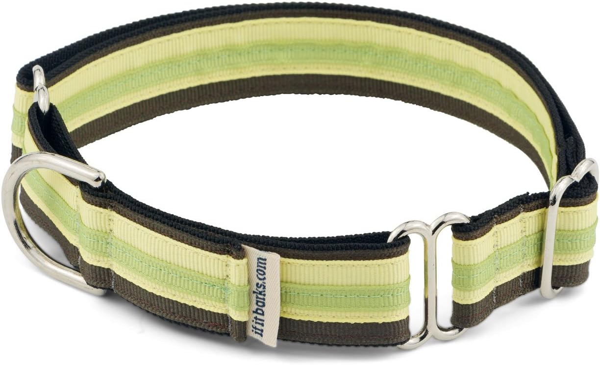 If It Barks 1" Martingale Collar for Dogs, Adjustable Nylon, USA Made, Large, Key Lime Pie