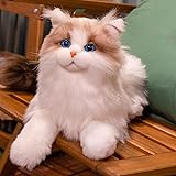 Chongker Chat Ragdoll en Peluche Lesté 2 kg - Jouet Fait...