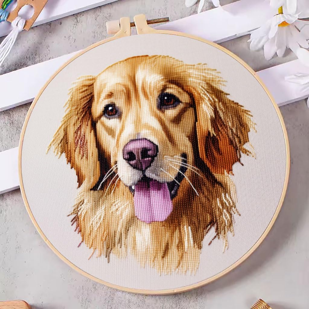 DIY Cross Stitch Kits Golden Retriever Easy for Beginners with Hoop 11CT Needlepoint Embroidery Counted Stamped Cross Stitch Set Craft Wall Decor 20x20cm(1)