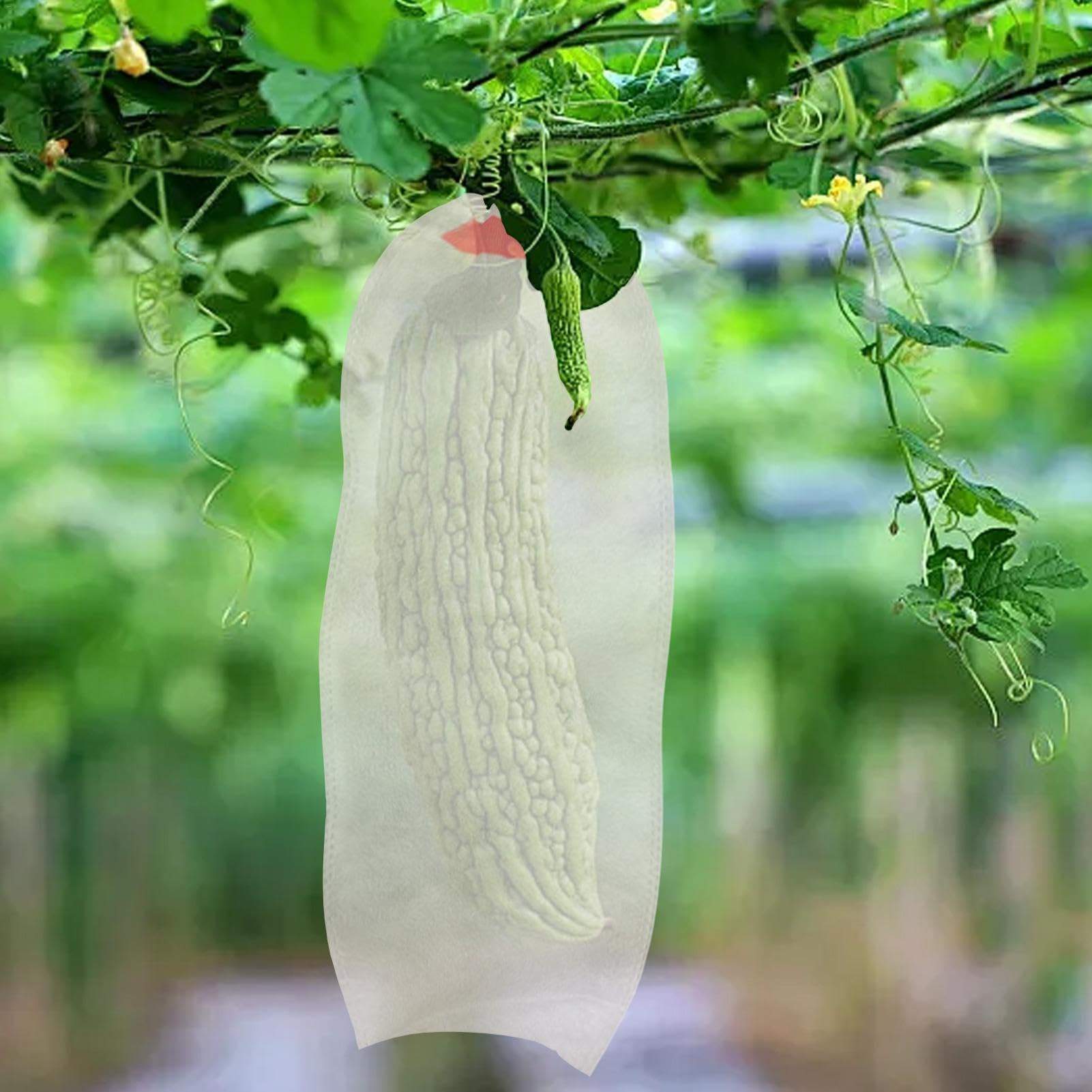 Fruit Protect - Bolsas de malla para tomates y uvas, 100 unidades, para jardín, antipájaros y CT Shield para árboles frutales, ideal para cosechar y cultivar