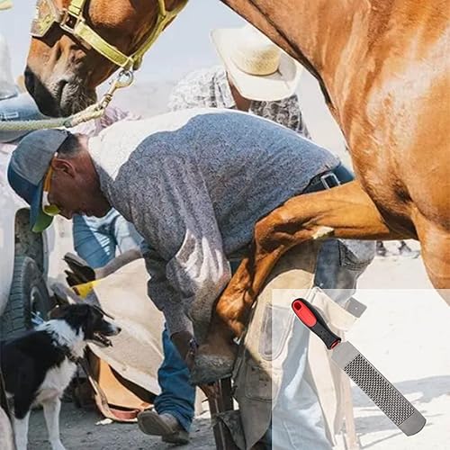 Miniatura 5 de Raspa de pezuñas de 12 pulgadas, lima de herradura con mango de goma, herramienta de archivo de acero al carbono, adecuada para