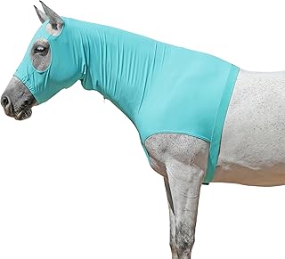 Sleazy Sleepwear For Horses Picks collage image 2