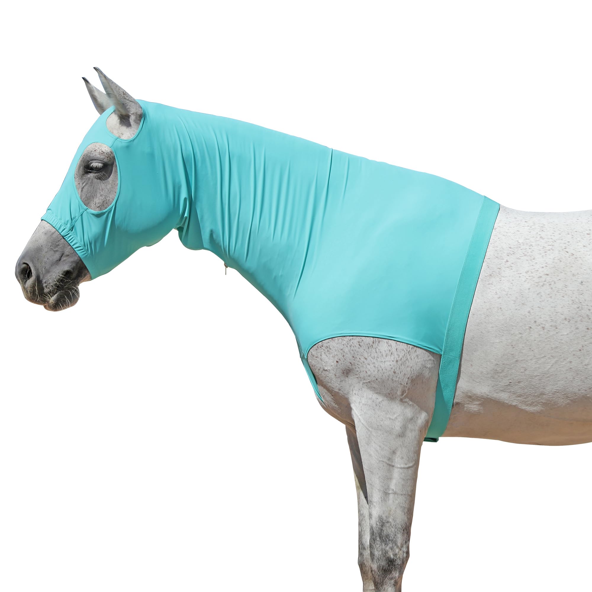 Horse Slinky Hood with Zipper, Stretchy Sleazy Hood Turquoise M