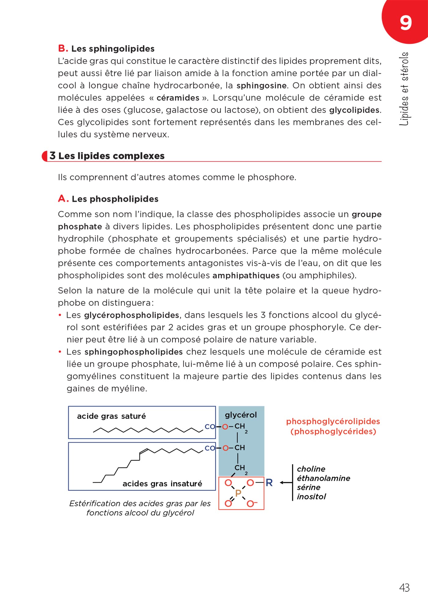 LAS - Licence Accès Santé - Tome 1 - 2e édition