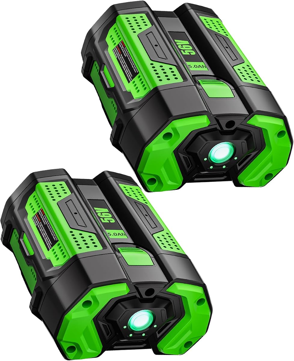 2 Pack 56V 5.0Ah