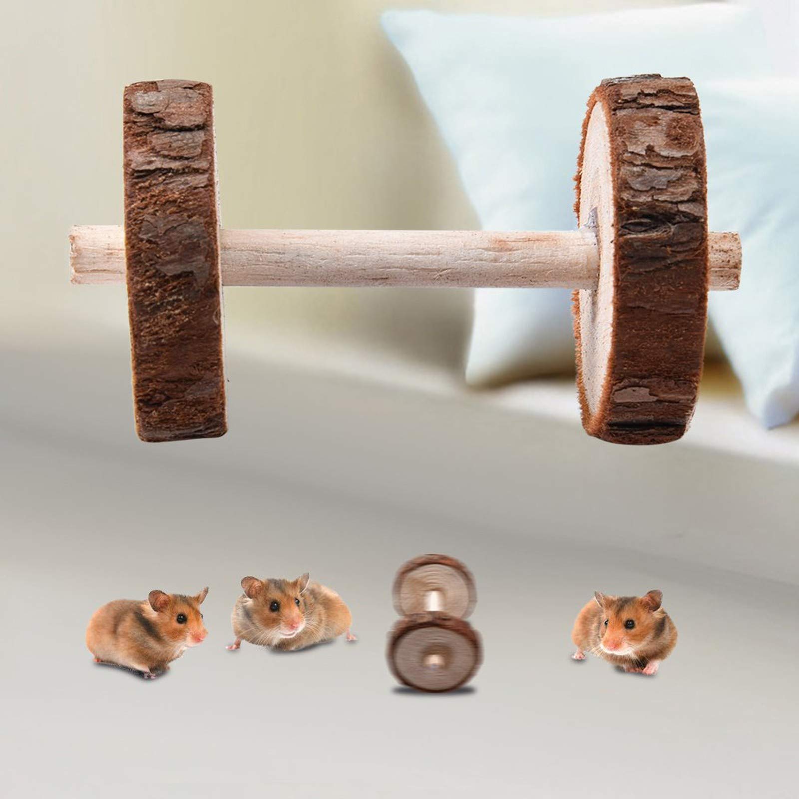 View 6
