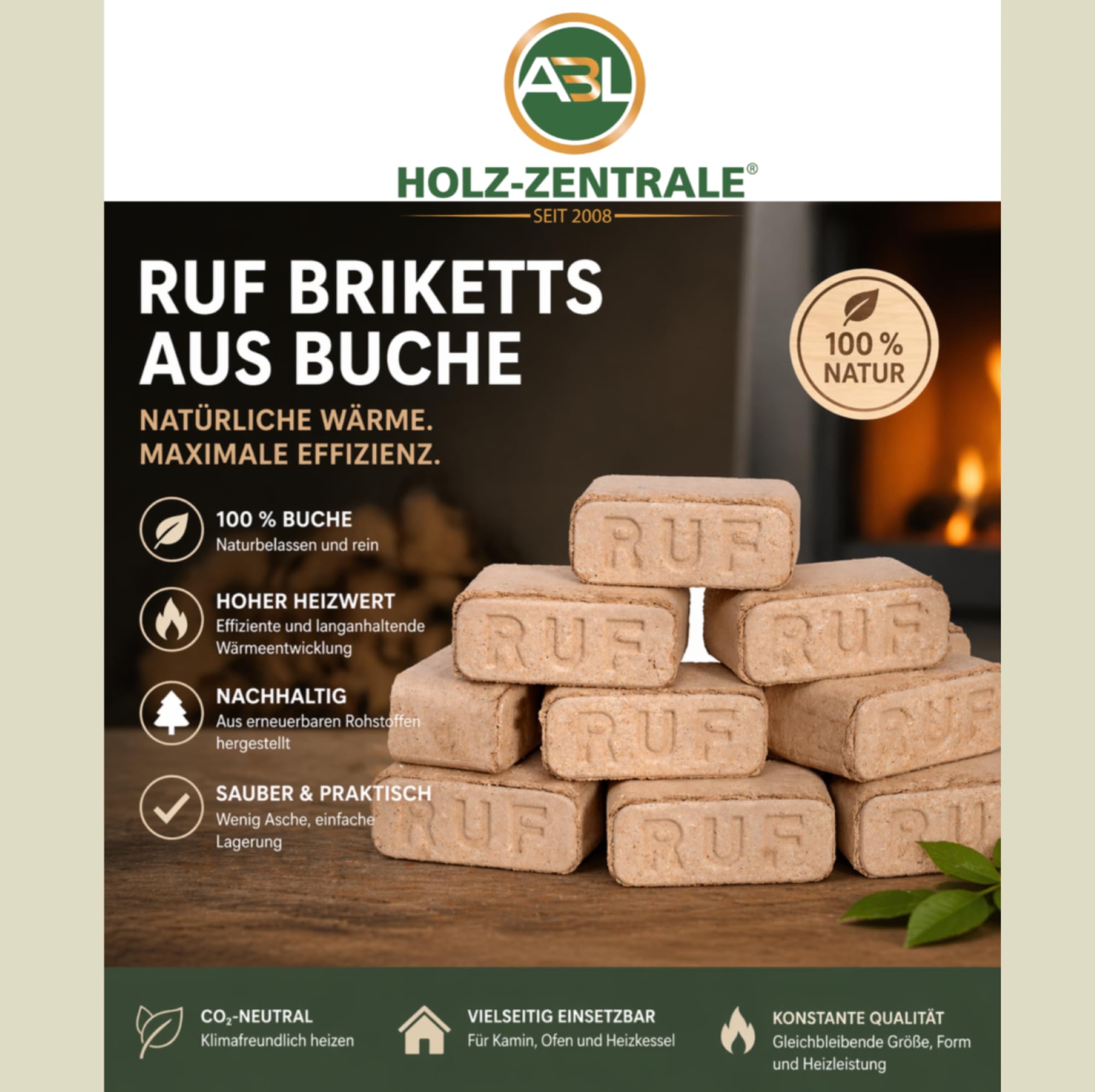 RUF BRIKETTS 100% Buche – 30 kg (3 Packungen je 10 kg) Hartholzbriketts – Kaminbriketts & Ofenbriketts – für Kaminöfen, Kachelöfen & Holzheizungen, Brennholz Briketts, Premium Holzbriketts