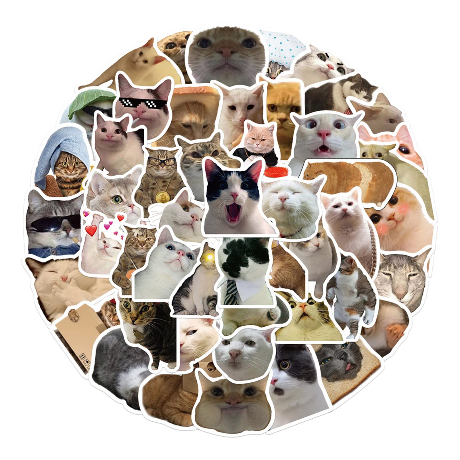 TTTLLNN 50Pcs Cats Animal Stickers PVC Stickers for Laptop Skateboard Water Bottles Phone Kids