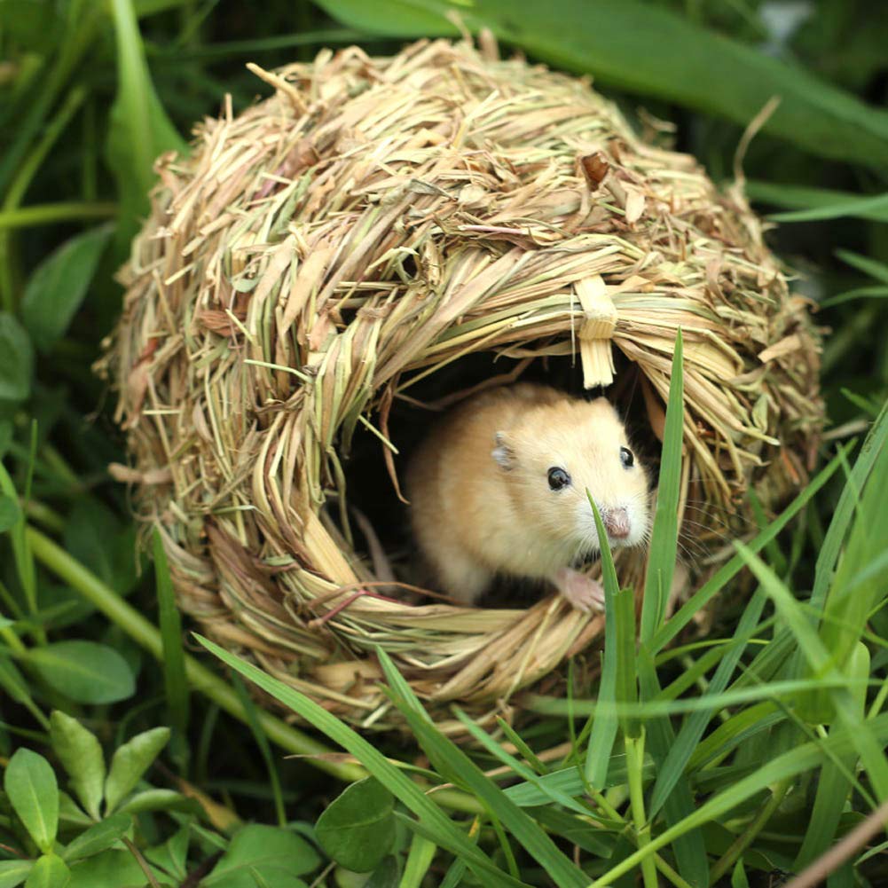 Amazon | ミニアニマン 手編みクラフトハウス 2つの穴の草の巣