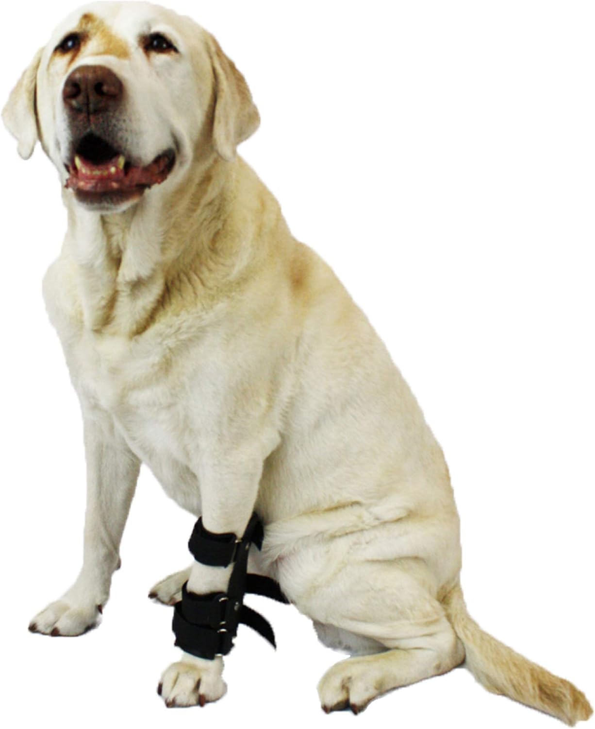 dog splint cover