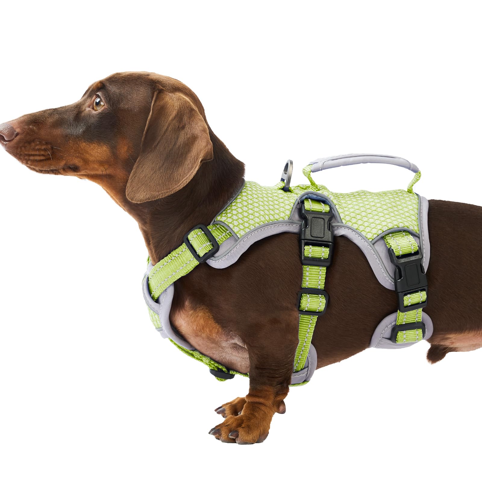 Huntboo Escape Proof Dog Harness, Escape Artist Harness, Reflective Dog Harness with Handle, Durable,Adjustable Vest for Small Medium Large Dogs Walking, Training, and Running Gear(Green,S)