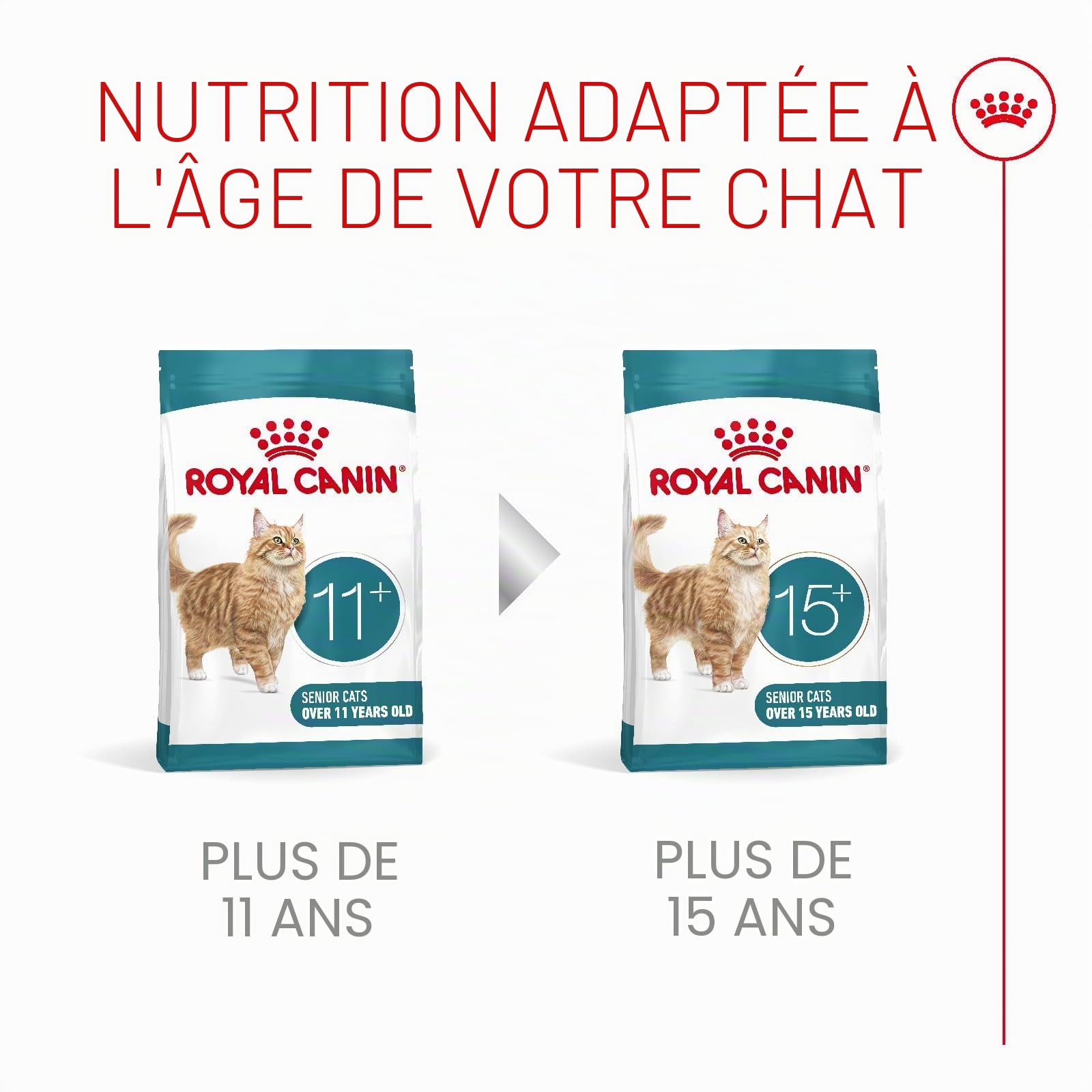ROYAL CANIN AGEING 11+ | 2 kg | Croquettes pour Chats Seniors de Plus de 11 Ans | Formule avec Le Complexe HealthyAge7™ | Contient des croquettes faciles à mâcher