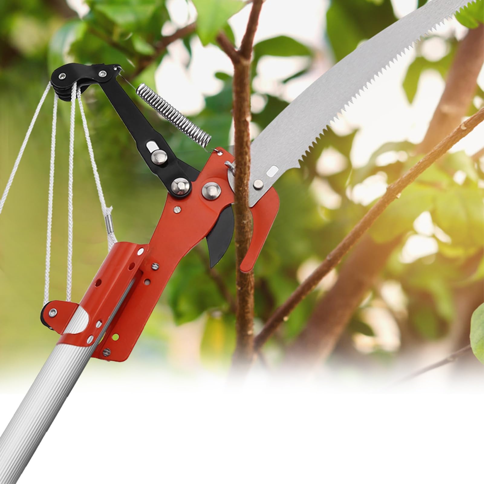 Svettatoio Telescopico a Pertica, 2 In 1 Forbici per Rami Alti All'Aperto Cesoie da Potatura Attrezzi Potatura Giardino, Non Include Il Palo Telescopico (Forbice + Senza Asta)