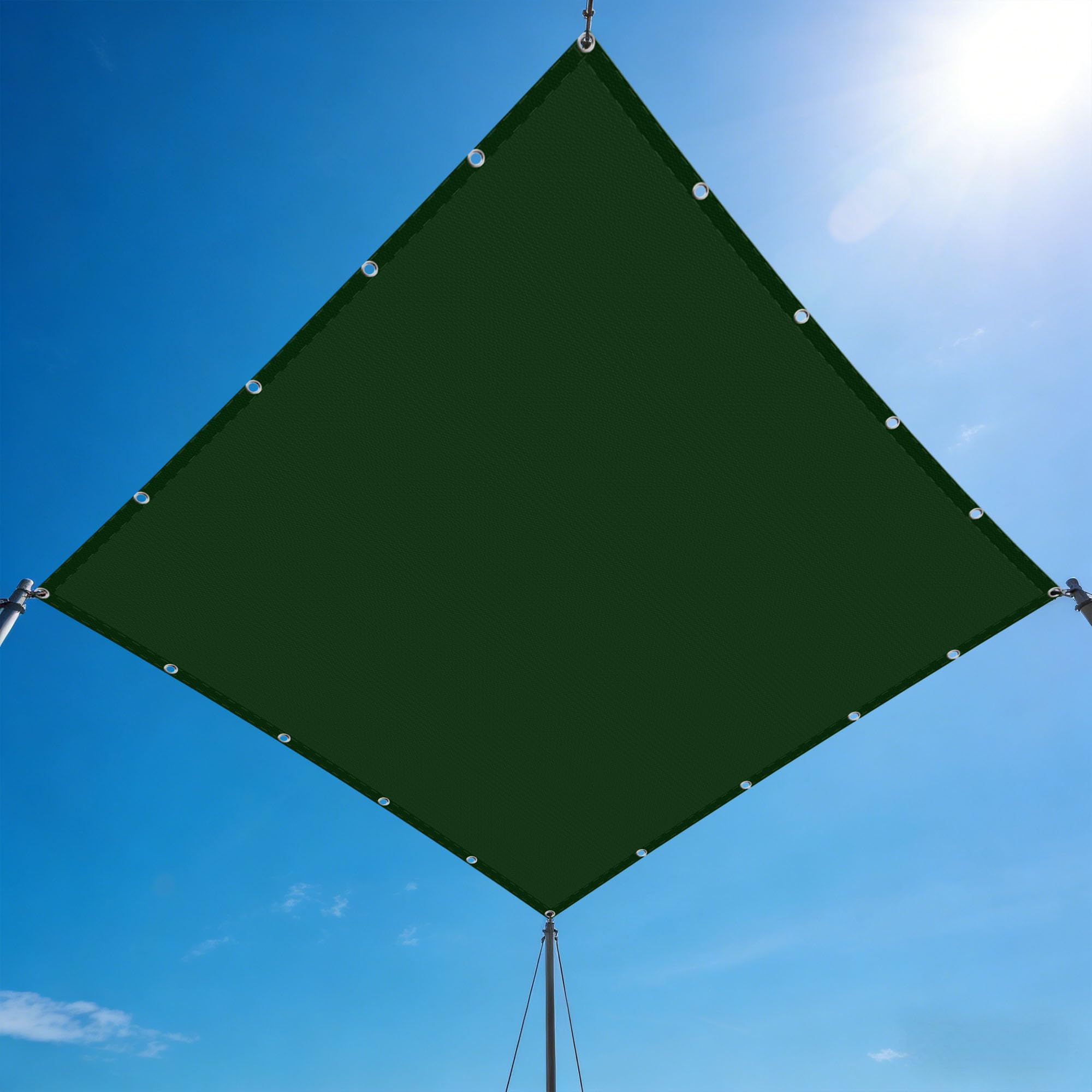 Voile d'ombrage imperméable rectangulaire 2.5x5 m vert foncé pour protection terrasse
