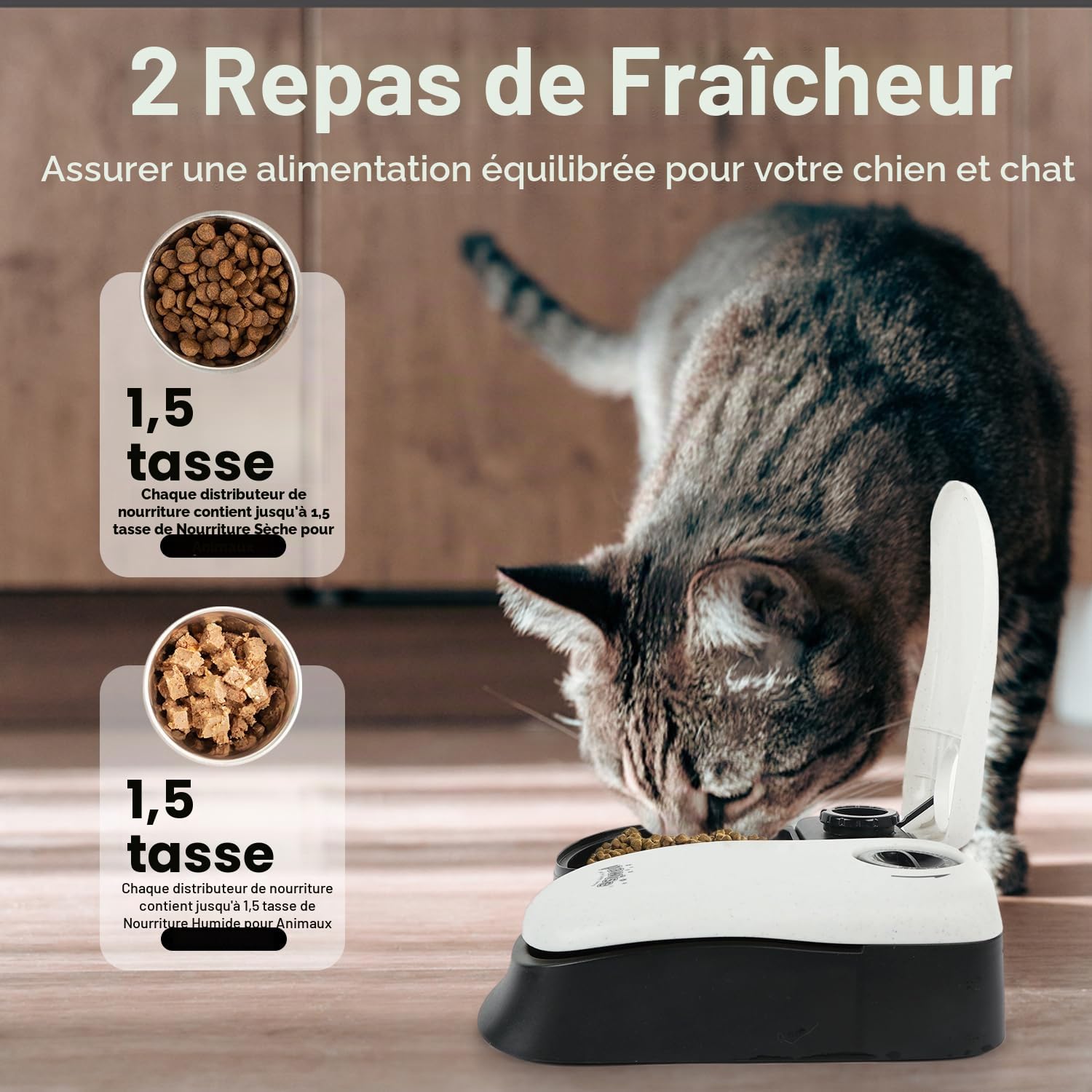 PAWISE Mangeoire Automatique pour Chats Et Chiens, Mangeoires Automatiques pour Animal de Compagnie avec Minuterie Et Poche De Glace, à Utiliser avec des Aliments Secs et Humides (2 Repas)