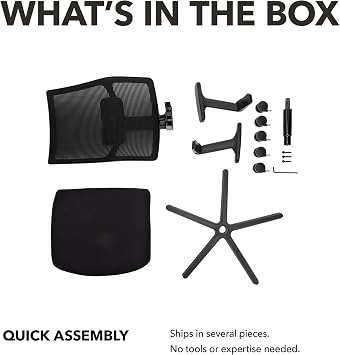 HON Ignition 2.0 MidBack Ergonomic Office Chair, Mesh Task Seating with Lumbar Support, Advanced SynchroTilt, Height and Width Adjustable Arms, Black Frame, Black