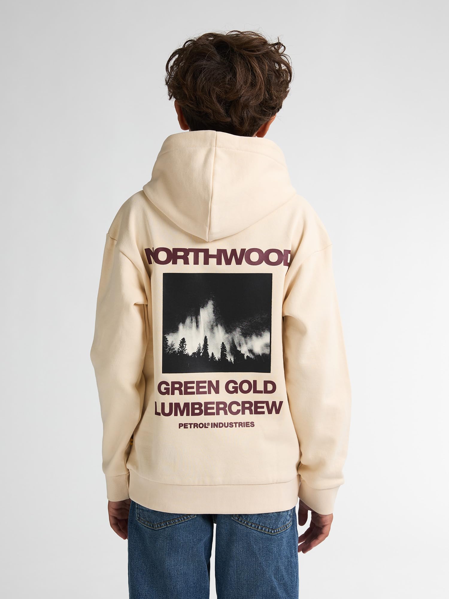 Petrol Industries - Rückenprint Hoodie Rainier
