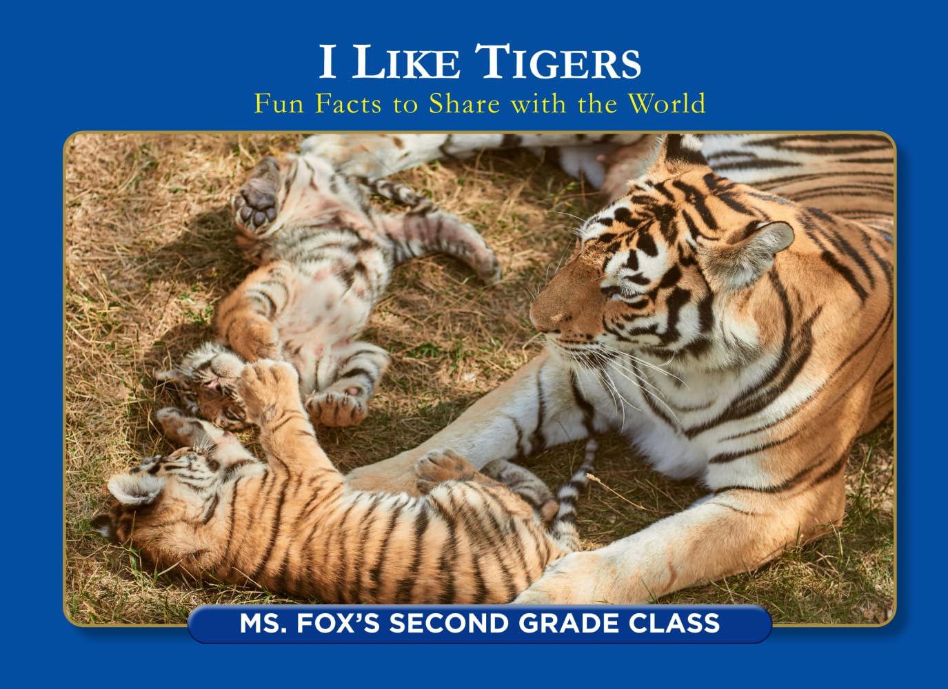 I Like Tigers: Fun Facts to Share with the World