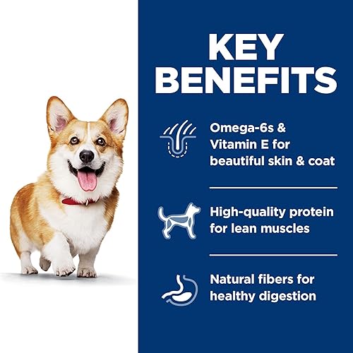 Miniatura 4 de Alimento seco Hill's Science Diet Advanced Fitness Small Bites, para perros adultos