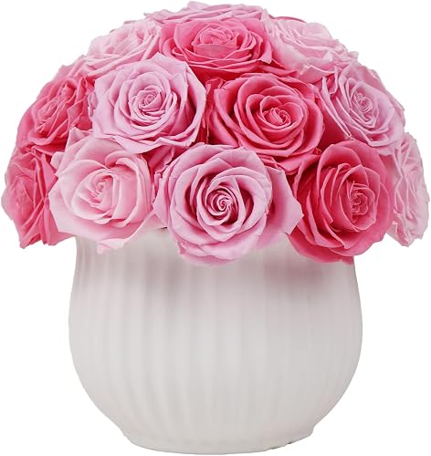 Preserved Roses in Vase,25Pcs Forever Roses with Ceramic Vase,Long Lasting Natural Flowers for Table Decor, Centerpieces for Tables,Party,Weeding,Birthday