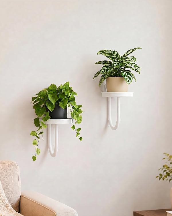 GENTINGBRO Plant Stands Hanging Planters for Indoor Plants Hanging Plant Holder Wall Planter Window Plant Shelves Plant Hanger Plant Decor White 2pcs by GENTINGBRO - Used condition - US$15.20