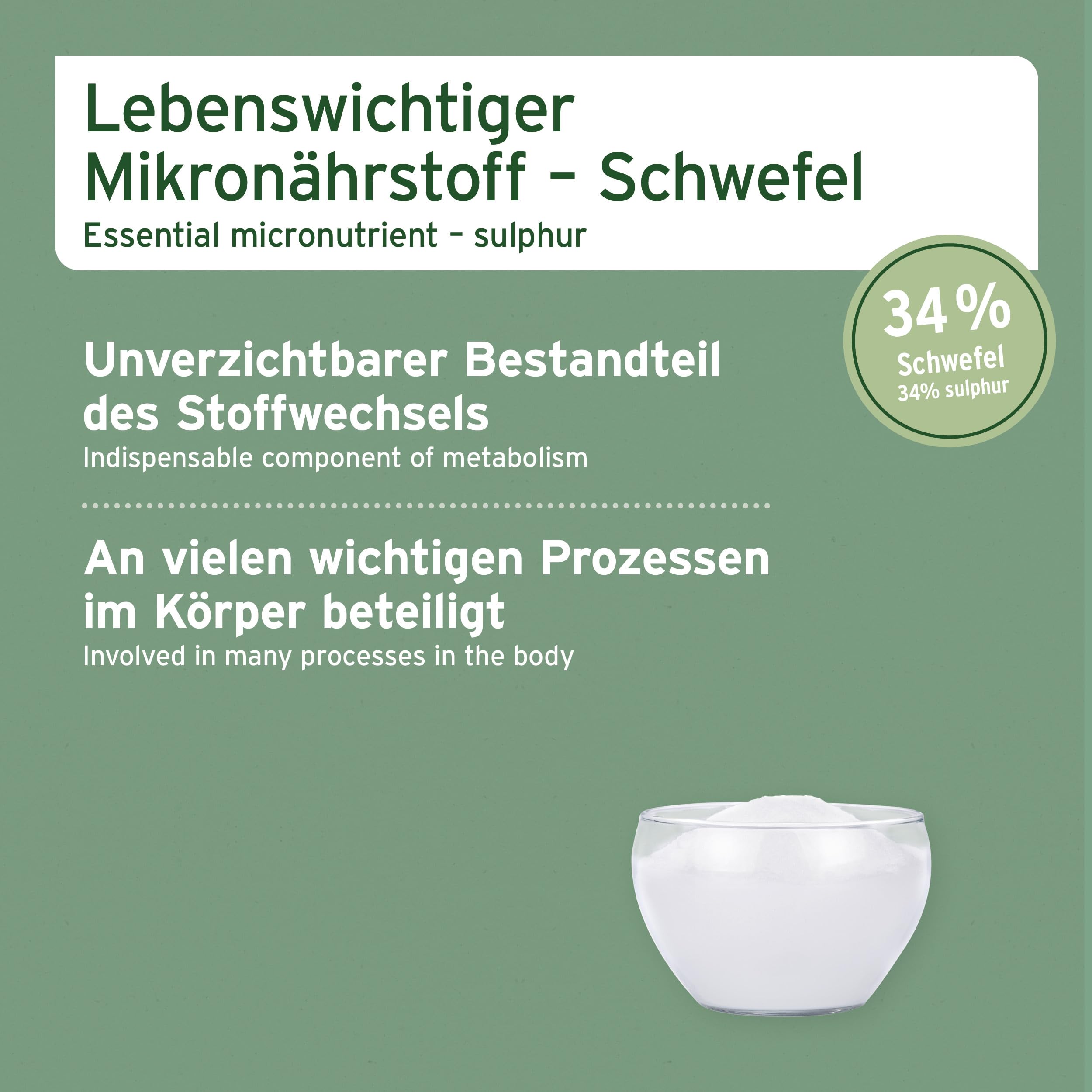 AniForte MSM Pulver für Pferde 1,5 kg – Hochreines Methylsulfonylmethan, Hochdosiert mit Reinheitsgrad 99,94%, organischer Schwefel als Gelenkpulver, höchste Qualität