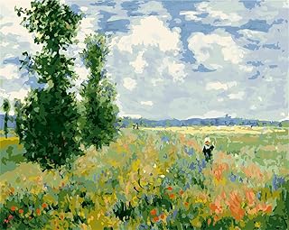 Meecaa Paint by Numbers Poppy Landscape Kit for Adults Beginner DIY Oil Painting 16x20 inch (Poppy Field, No Frame)
