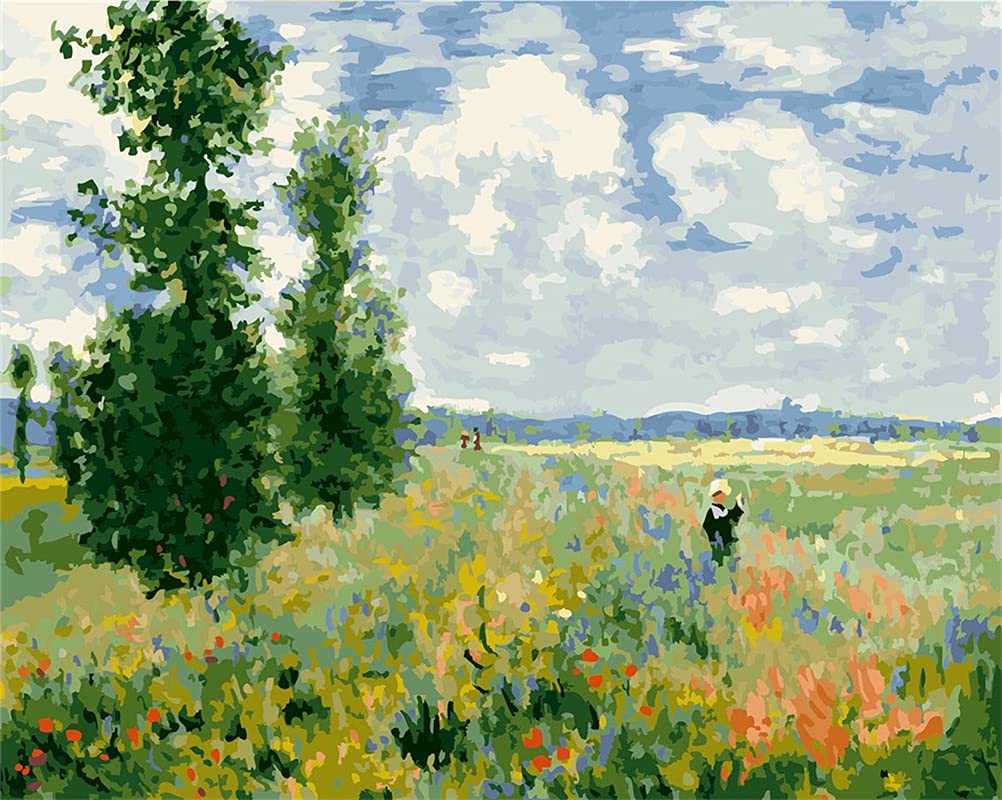 日本画(35) ポピー Amazon.co.jp: Meecaa Paint by Numbers