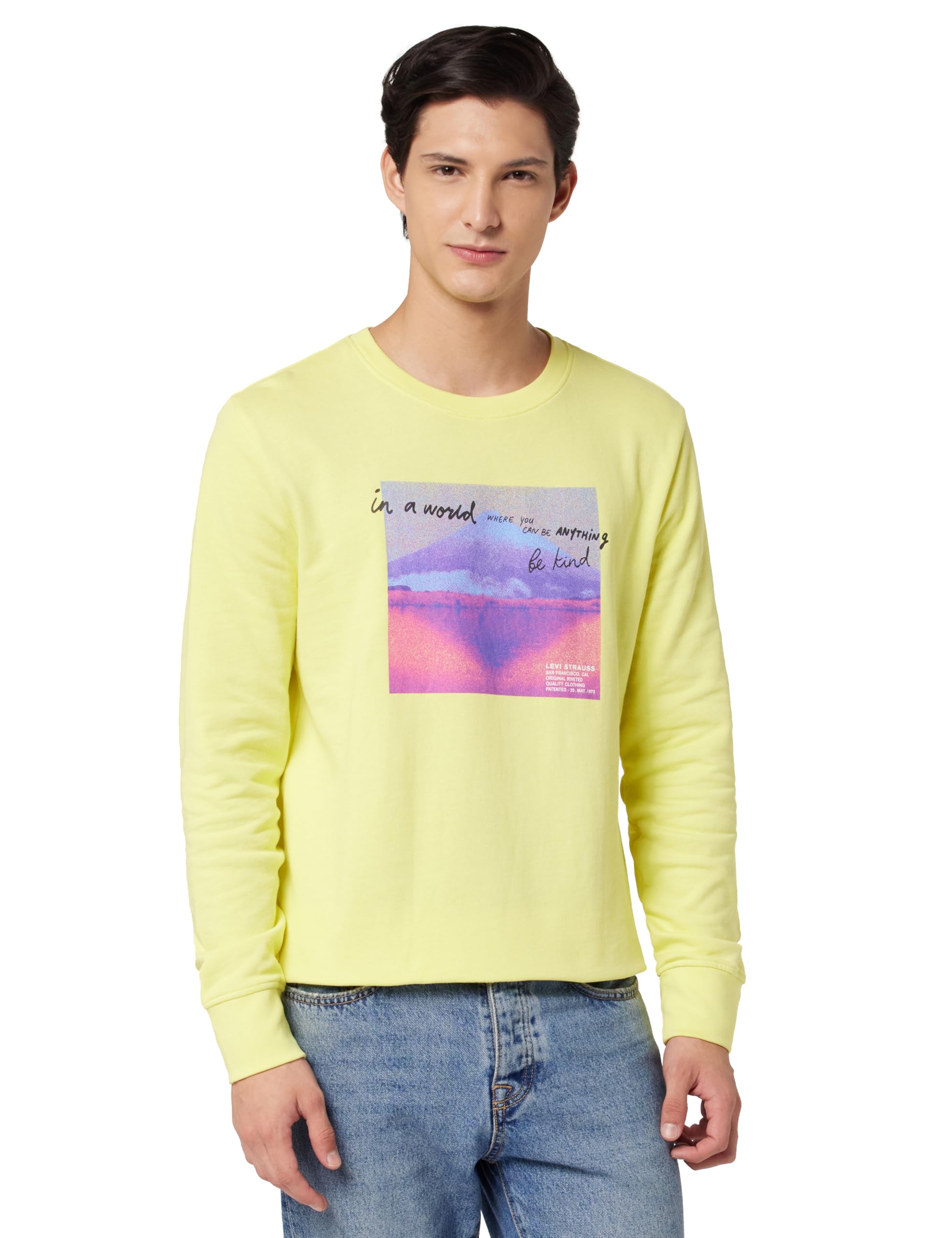 levi's Cotton Men Crew Neck Sweatshirt-picture-32