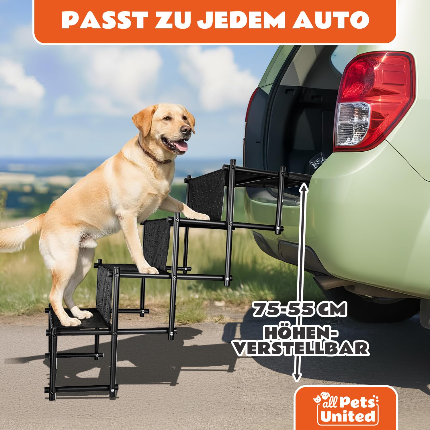 all Pets United® Hunderampe klappbar Hundetreppe Hunde- & Katzentreppe Rampe Einstiegshilfe für Kofferraum Haustiertreppe für Große & Kleine Tiere (Hundetreppe)