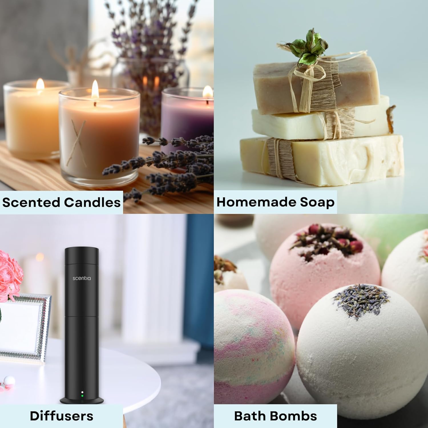 Scentia Gingerbread Bliss Fragrance Oil – 50ml Holiday Diffuser Oil | Warm Christmas Blend with Ginger, Nutmeg, Cinnamon & Vanilla | Perfect Stocking Stuffer, DIY Candles & Soaps