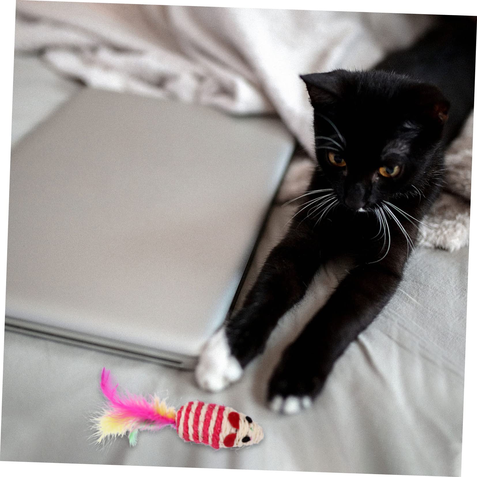 VANZACK 40 Piezas Juego de Navidad para Mascotas Bolas de Juguete para Gatos Juguetes para Mascotas mancuerna Cat Toys Juguetes para Gatos Juguetes Gatos Rompecabezas de Gato