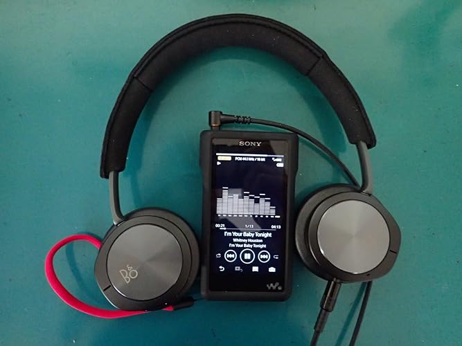 Amazon.co.jp: SONY デジタルオーディオプレーヤー ウォークマン WM1