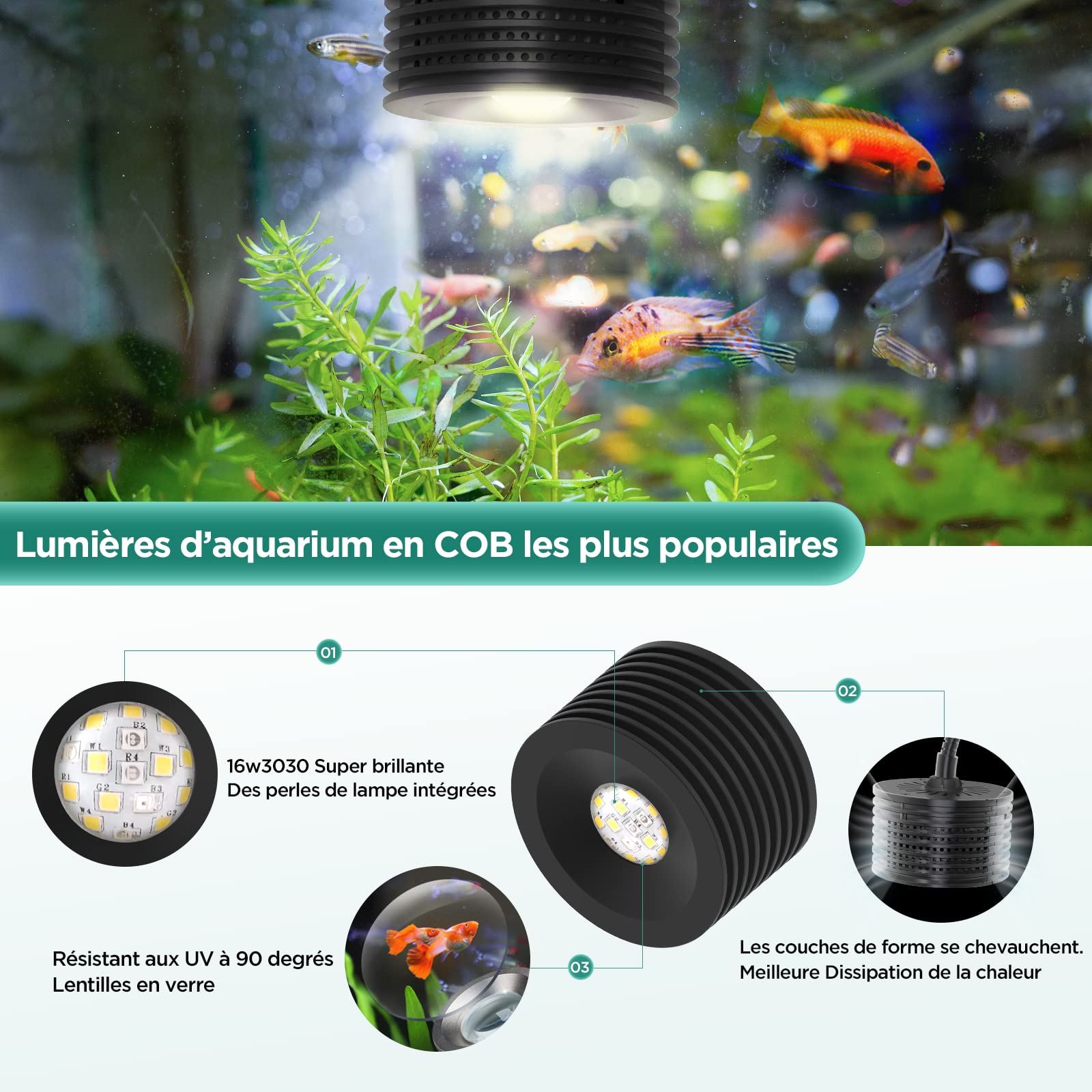 Lominie Lumière LED D'aquarium, Asta 20 Nano Dimmable Lumières Planté LED d'eau Douce Lamp 6500K pour Plante d'eau Douce Aquarium (F20 Eau fraiche)