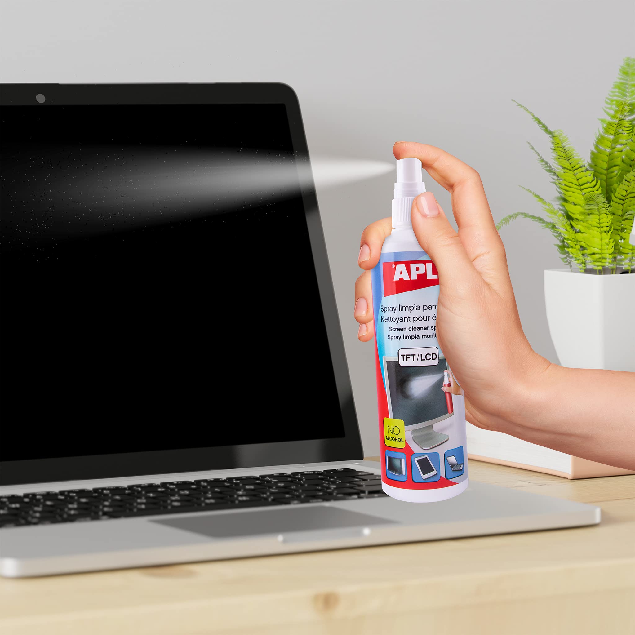 Apli 11324 Środek Czyszczący, 250 ml