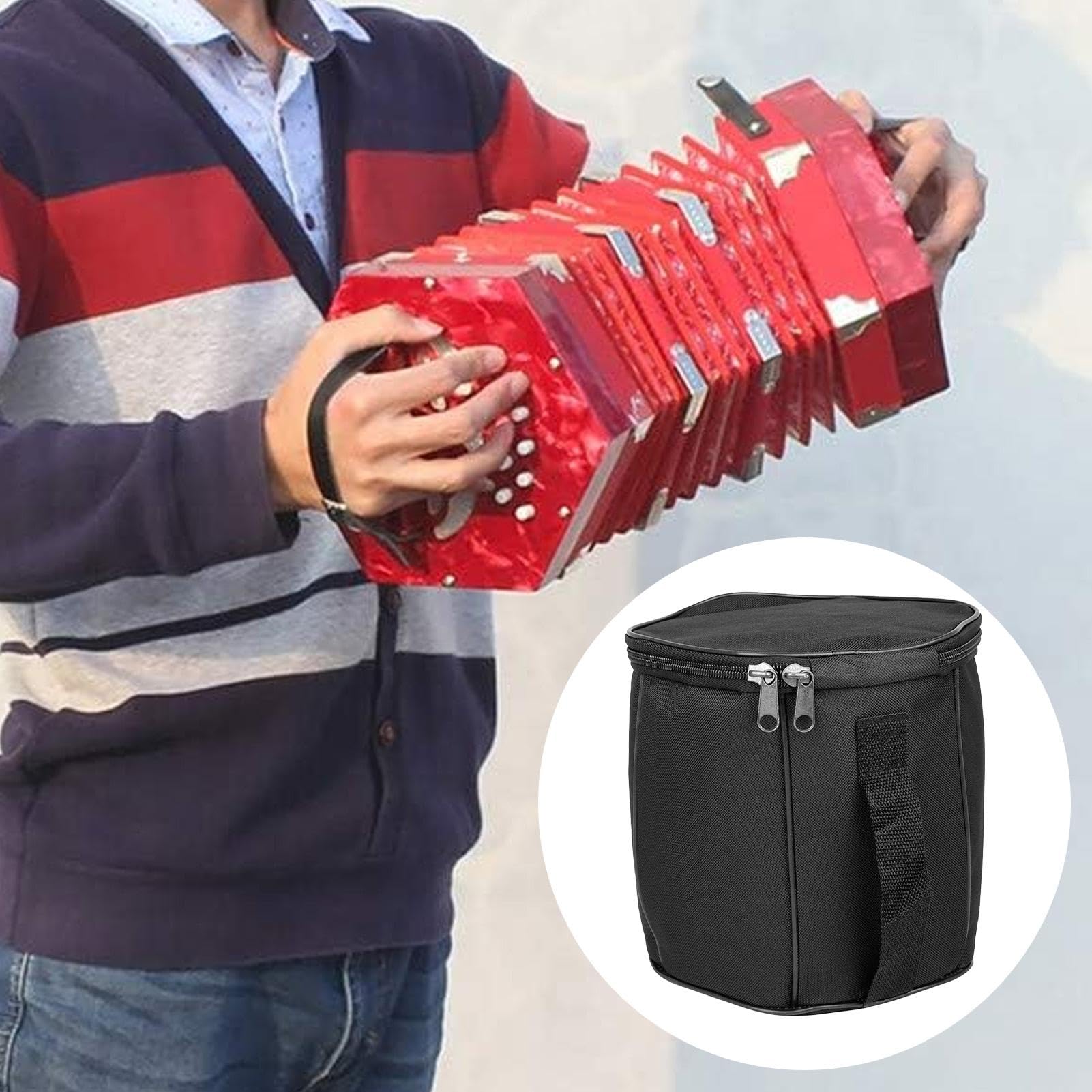 Funda de acordeón, bolsa de transporte de tela Oxford para piano bajo, bolsa grande con cremallera para acordeón, almacenamiento profesional para conciertos para el hogar, viajes y escuela, 8.27 x