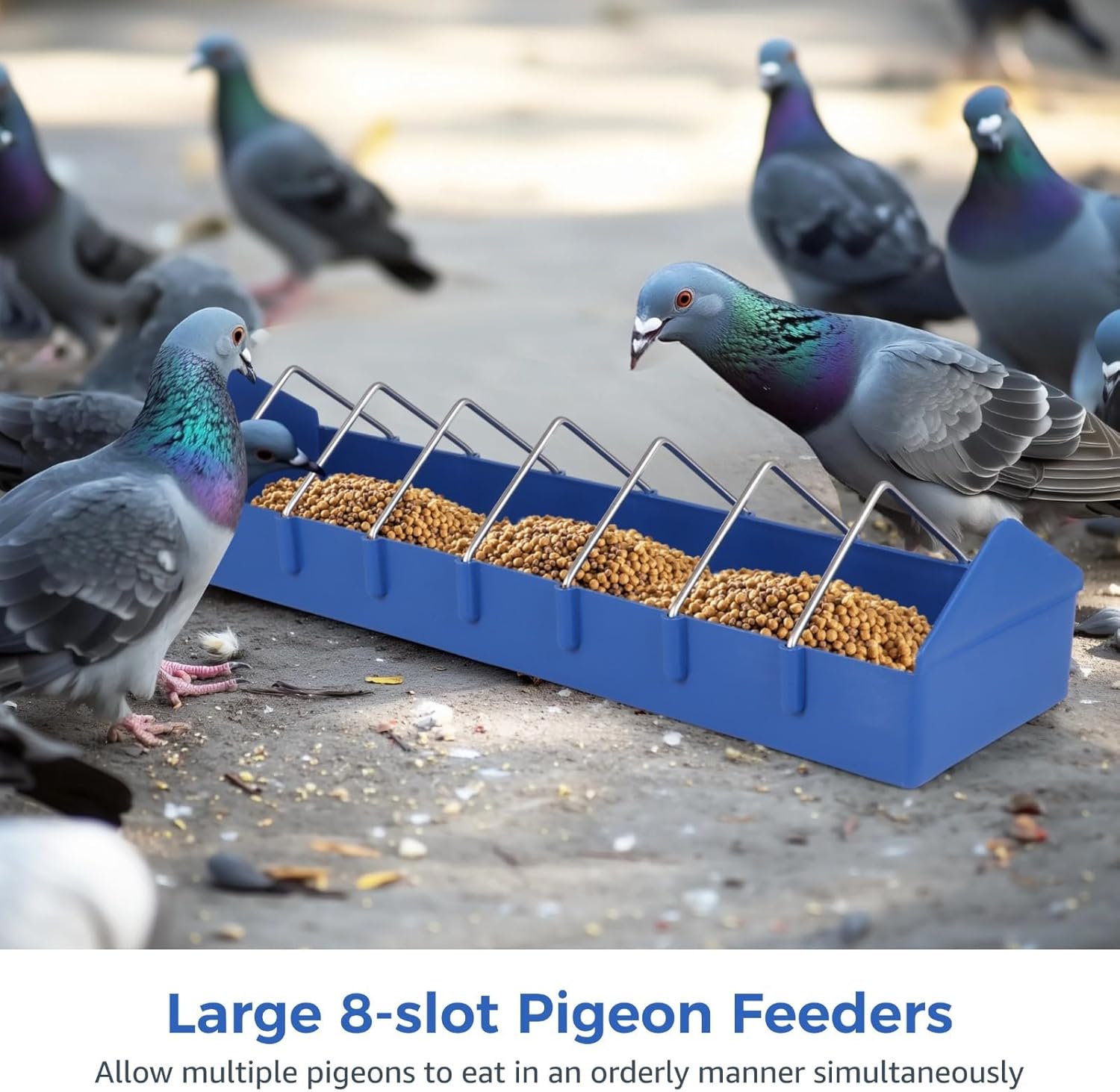 Poultry Feeding Dishes with Removable Steel Wires, 8-Slot Bird Dispensers, 4 Pcs Big Pigeon Feeders, Food Dispenser Containers for Parrots, Ducks, Chickens