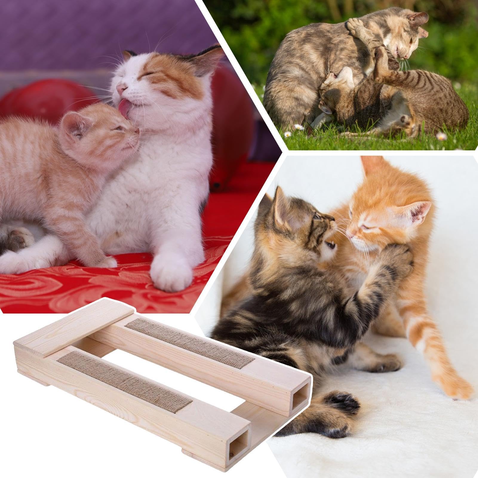 Amazon.co.jp: 猫の交尾椅子とスクラッチ、猫の繁殖エイドスツール