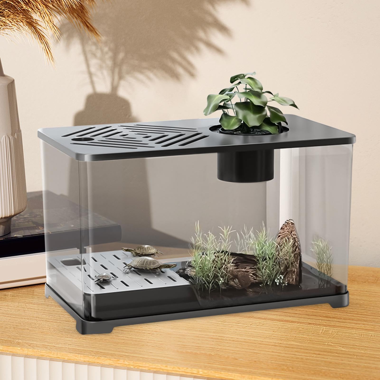 Acuario Acuario Grande Kit Completo de Escritorio | Contenedor Moderno con Zona para Tortugas, Accesorios para Peces Betta y Camarones con Plantas Acuáticas