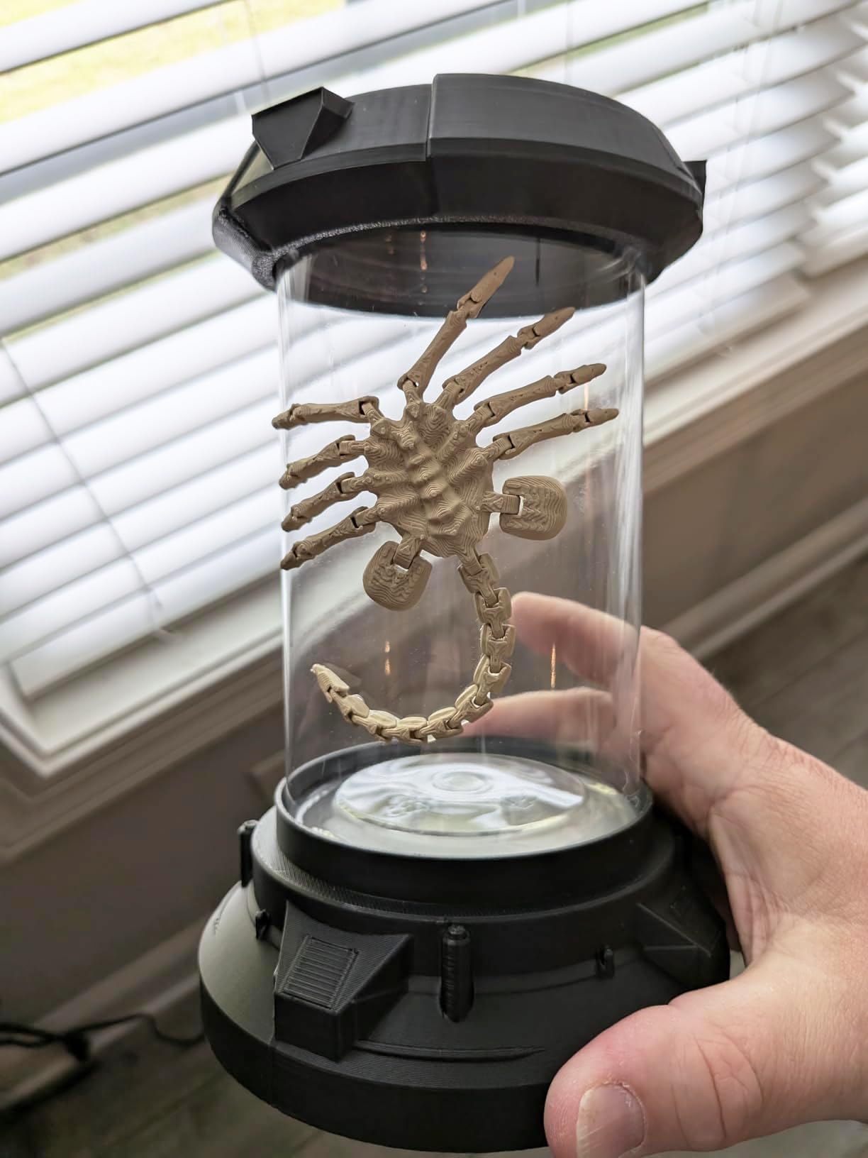 Amazon.com: 2025 Facehugger Popcorn Bucket - Cool Gothic