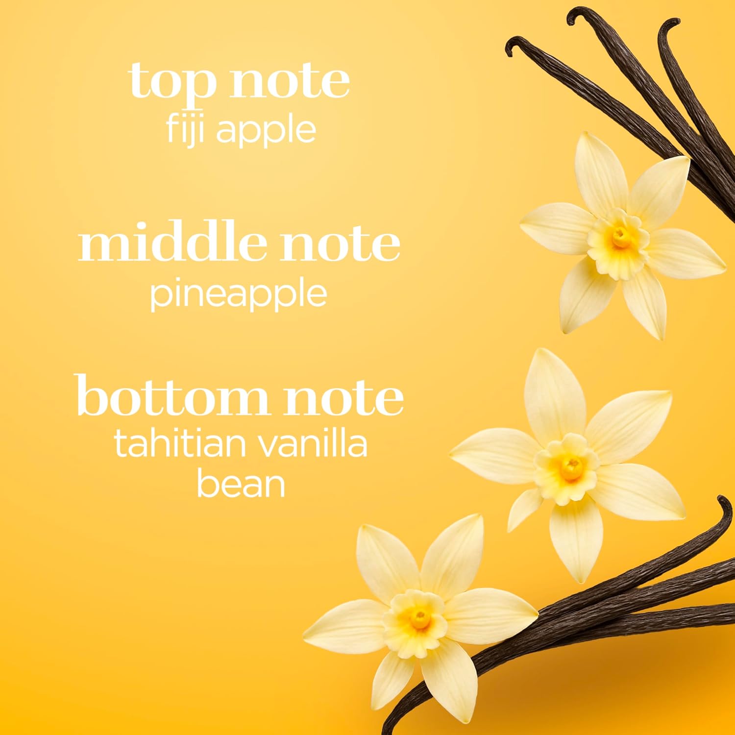 Body Fantasies Signature Fragrance Body Spray, Vanilla, 8 fl oz (Pack of 2) - Image 3