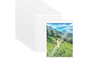 100 Pack 8.5 x 11 Inch Crystal Clear Storage Bags Resealable Page...