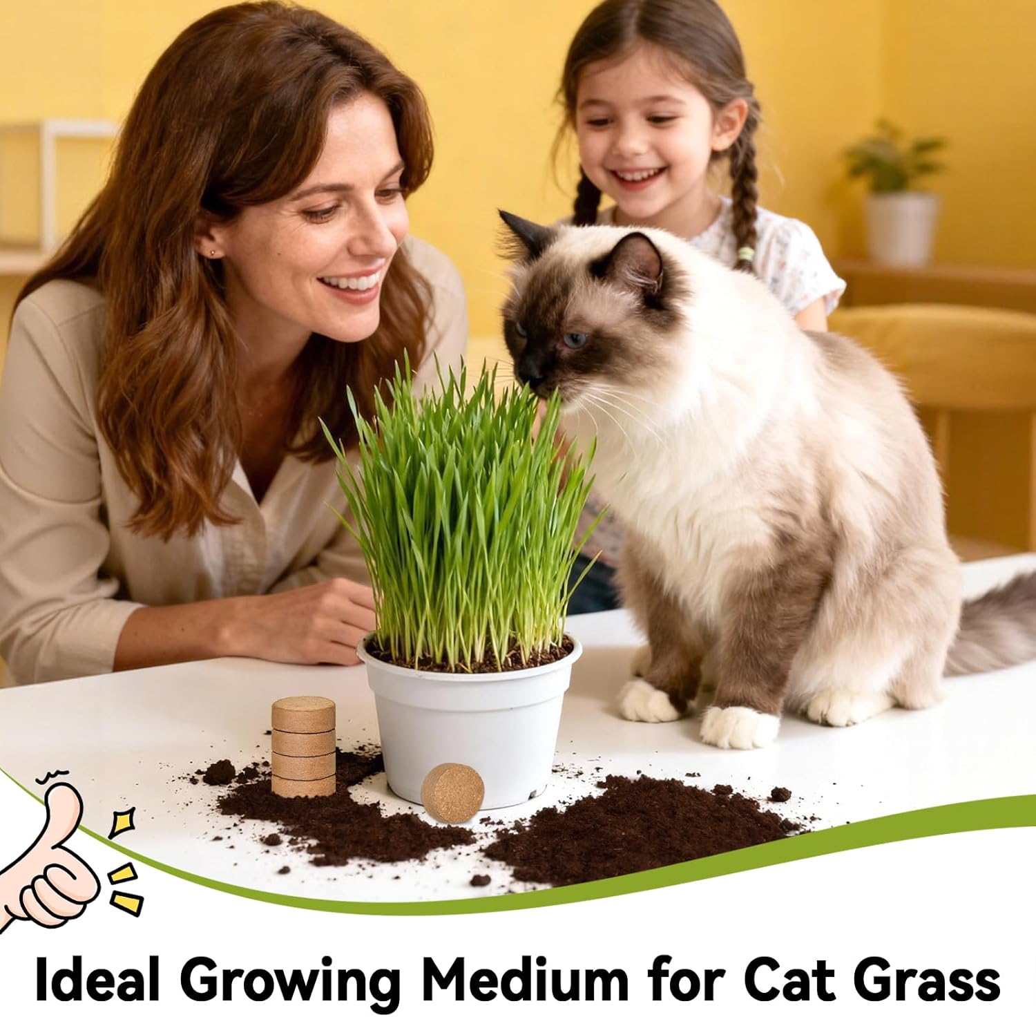 ZeeDix 50 Pack 50mm Organic Coco Coir Seed Starter Pellets, Compressed Coconut Fiber Seed Starter Soil Discs Potting Soil Mix for Indoor Outdoor Plants, Herbs Houseplants Bonsai Vegetables Flowers