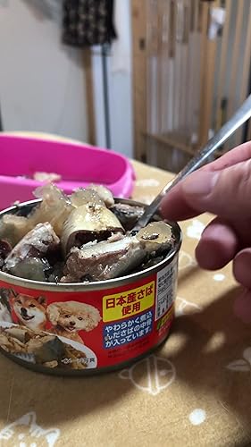 いなば　日本の魚缶　2種×170g 96缶セット いなば 日本の魚缶 2種×170g 96缶セット